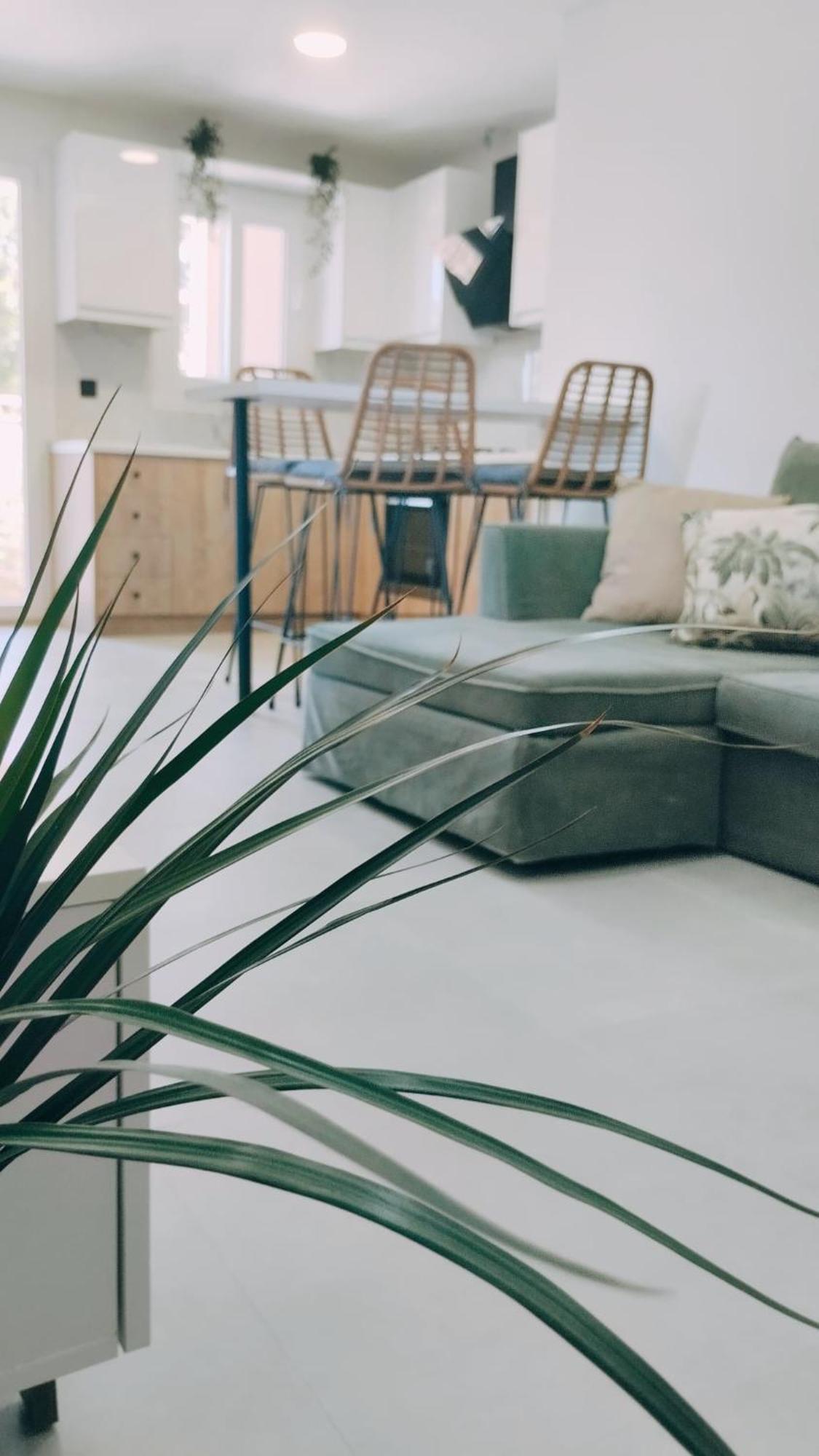 Inas Apartments 2 ليفكيمي المظهر الخارجي الصورة